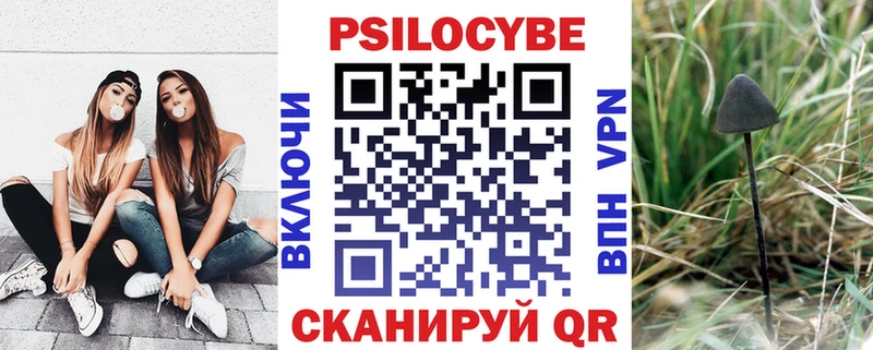 Псилоцибиновые грибы Psilocybine cubensis  Алапаевск 